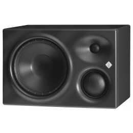 Neumann KH 310 A R G Студийный монитор (правый)