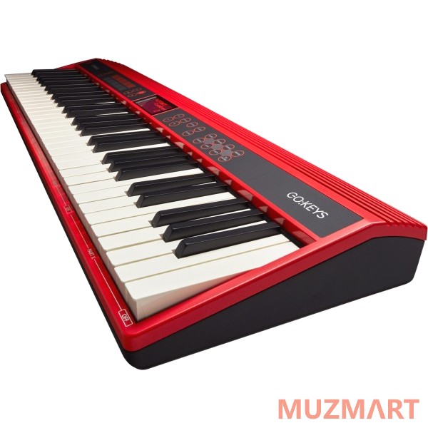 Roland GO-61K Синтезатор